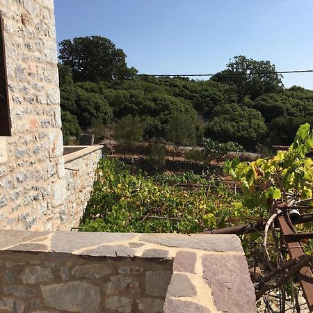 LáyiaPeace In The Wildest Landscape Of Mani别墅 外观 照片